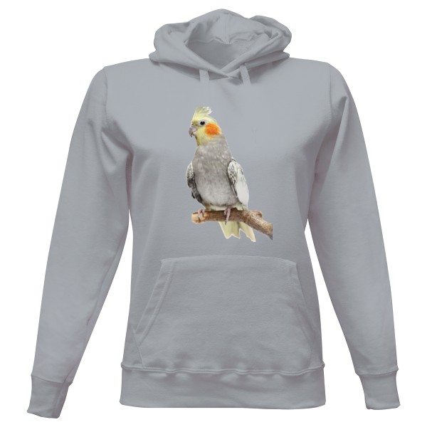 Dámská mikina s kapucí s potiskem Korela MZ