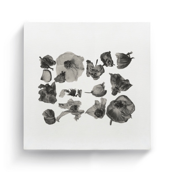Fotoplátno čtverec s potiskem Suchý květ tisk
